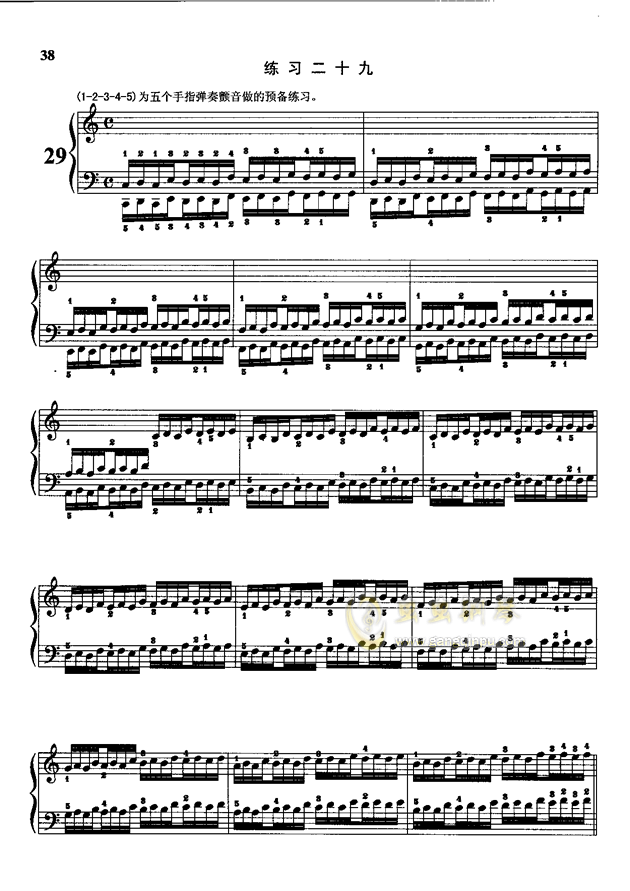 哈农简谱版指法_哈农指法练习曲谱简谱(3)